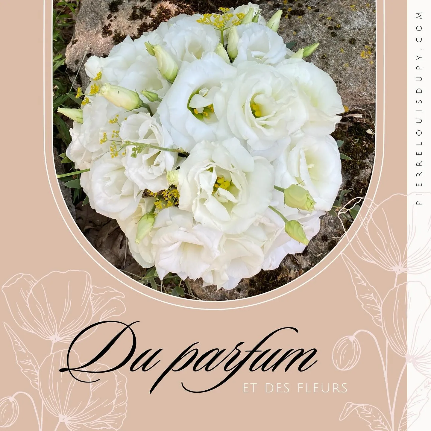 Angelina Jolie × Maison Guerlain — couverture