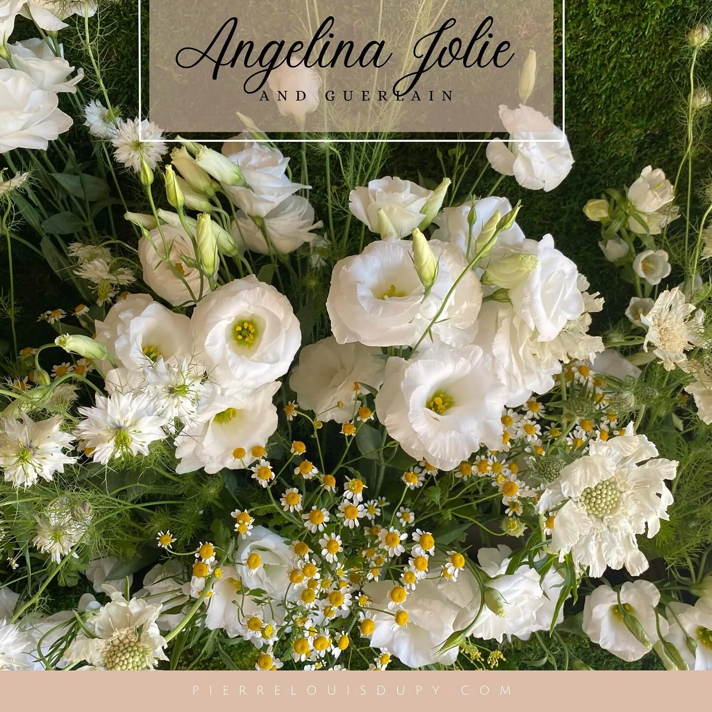 Angelina Jolie × Maison Guerlain — vue 2