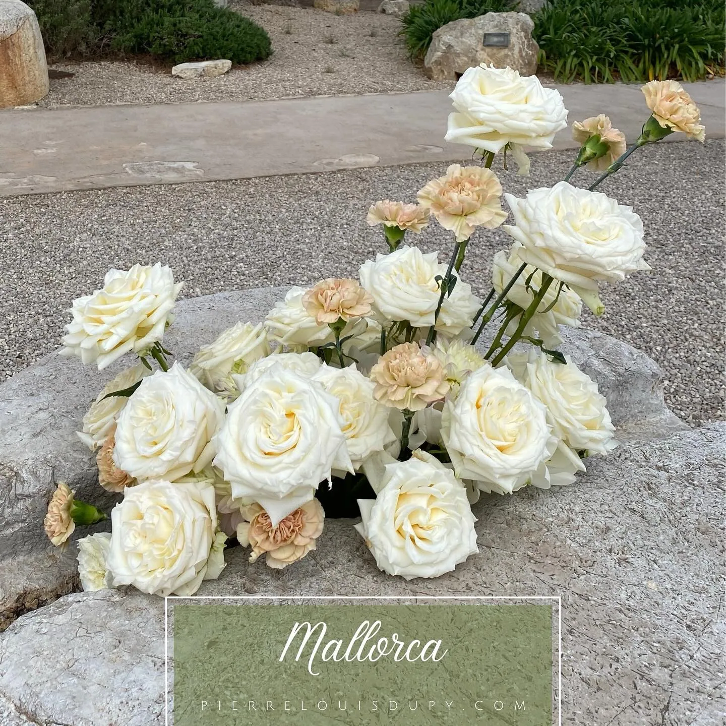 Mallorca — vue 5