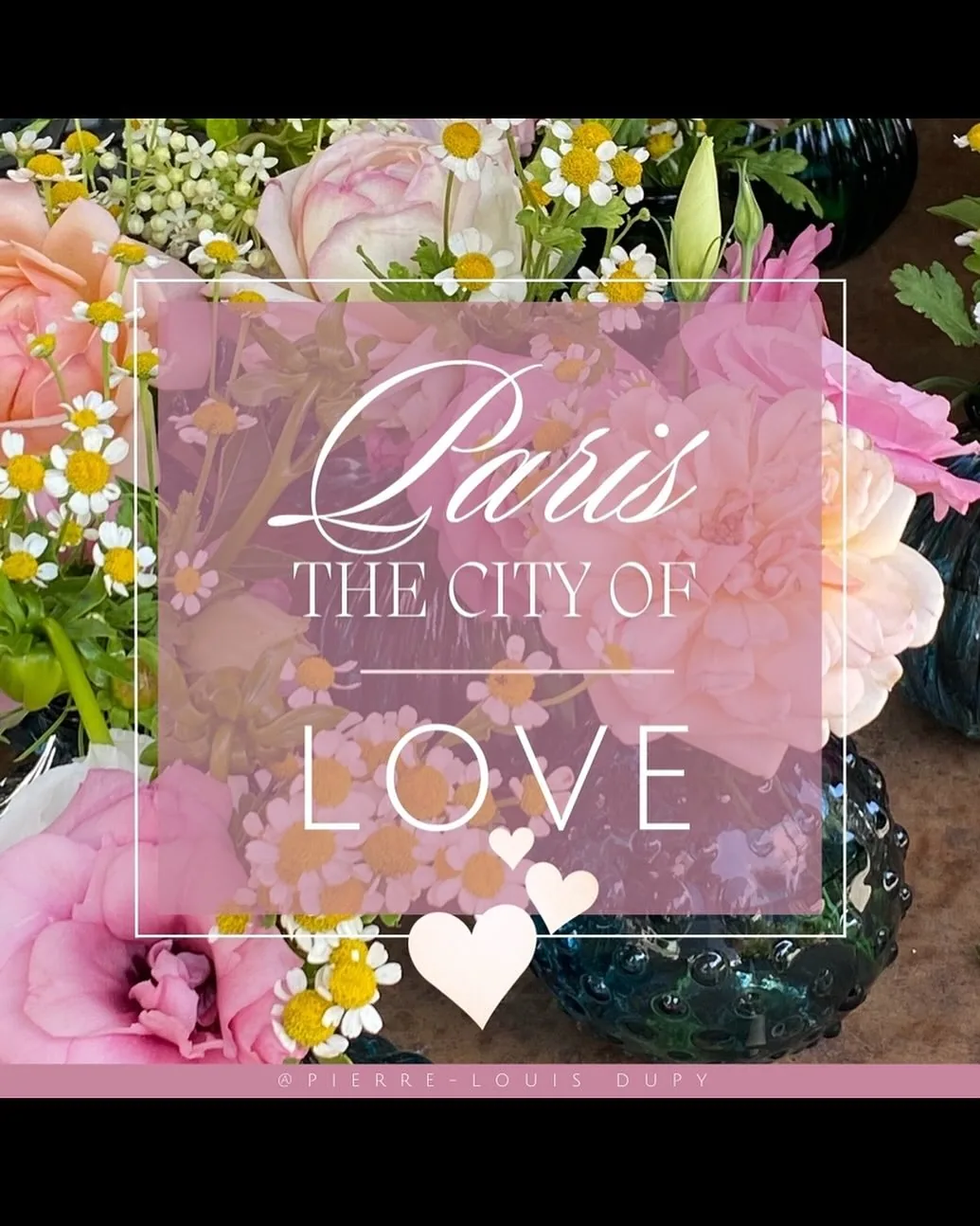 Mariage à Paris — vue 5