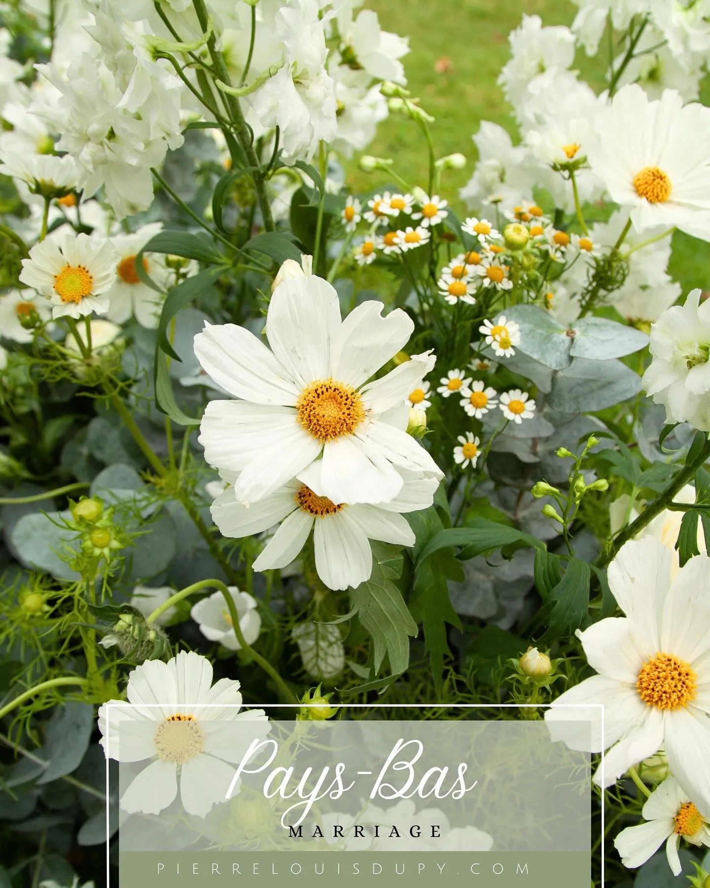 Mariage aux Pays-Bas — vue 3